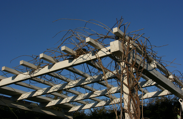 Pergola Construction